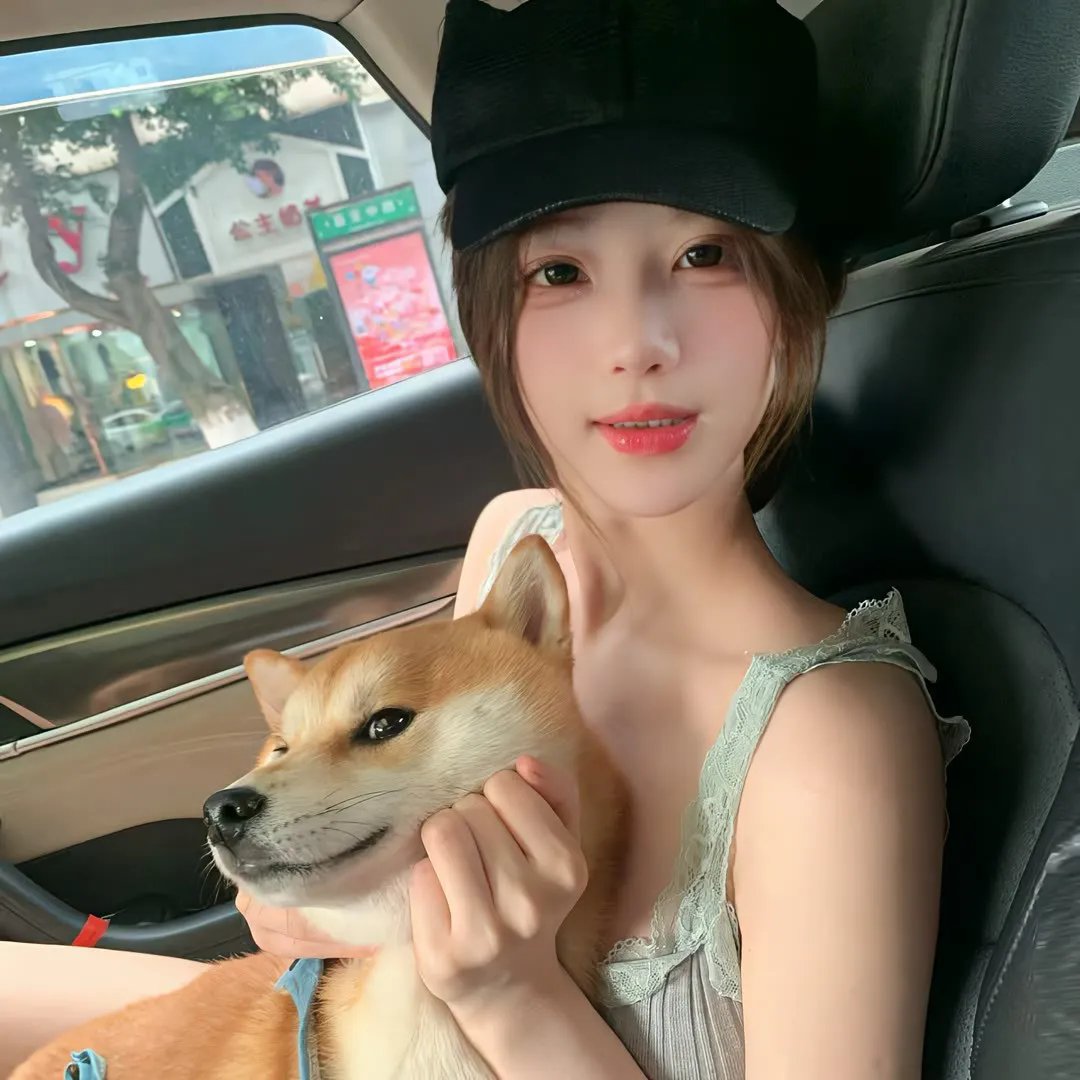 哈吉布基的森林冒险